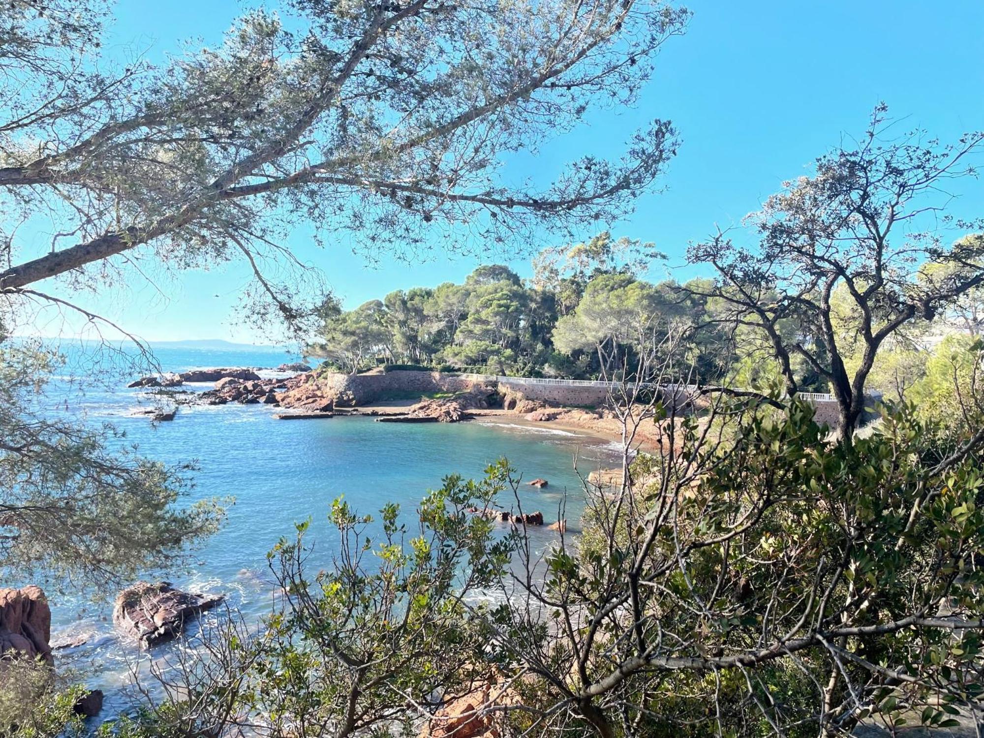 2 Pieces Saint Raphael Renove, Classe 4 Etoiles, 100 M Plages, Piscine, Tennis, Parc, Terrasse, Jardin Privatif Eksteriør bilde